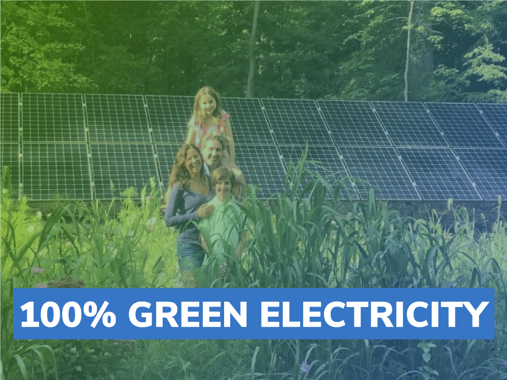 100% green electricity