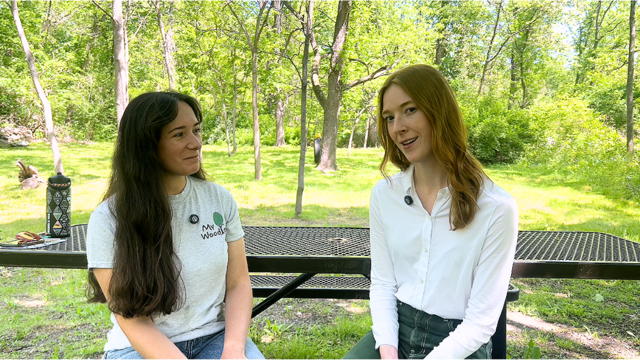 Plant Free Native Trees | Protect NY Drinking Water