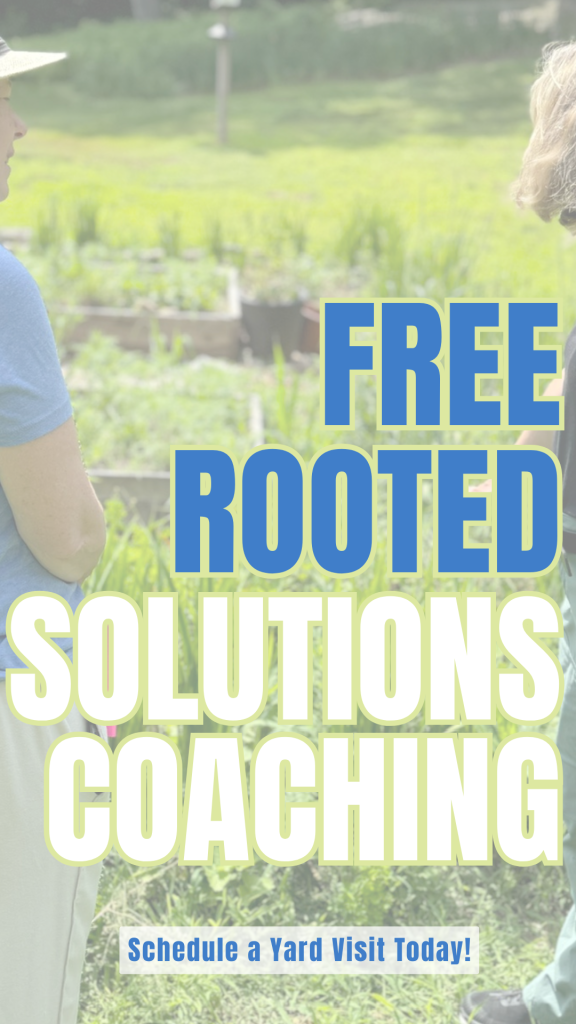 Free Rooted Solutions Coaching