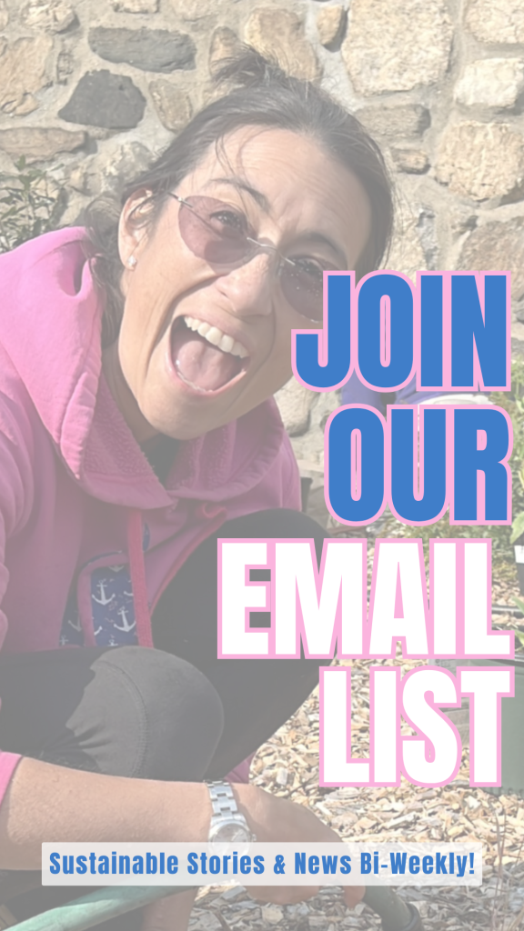 Join Our Email Newsletter List