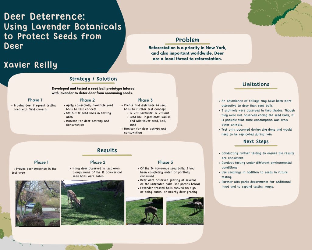 A-ReforestationReimagined-Poster - Xavier Reilly